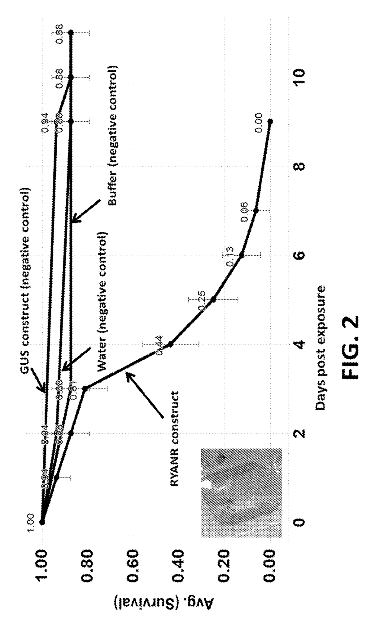 Compositions and methods to control insect pests