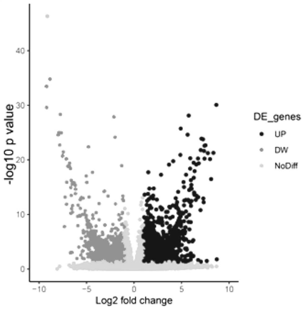 Novel long-chain non-coding RNA of RA marker and application of novel long-chain non-coding RNA