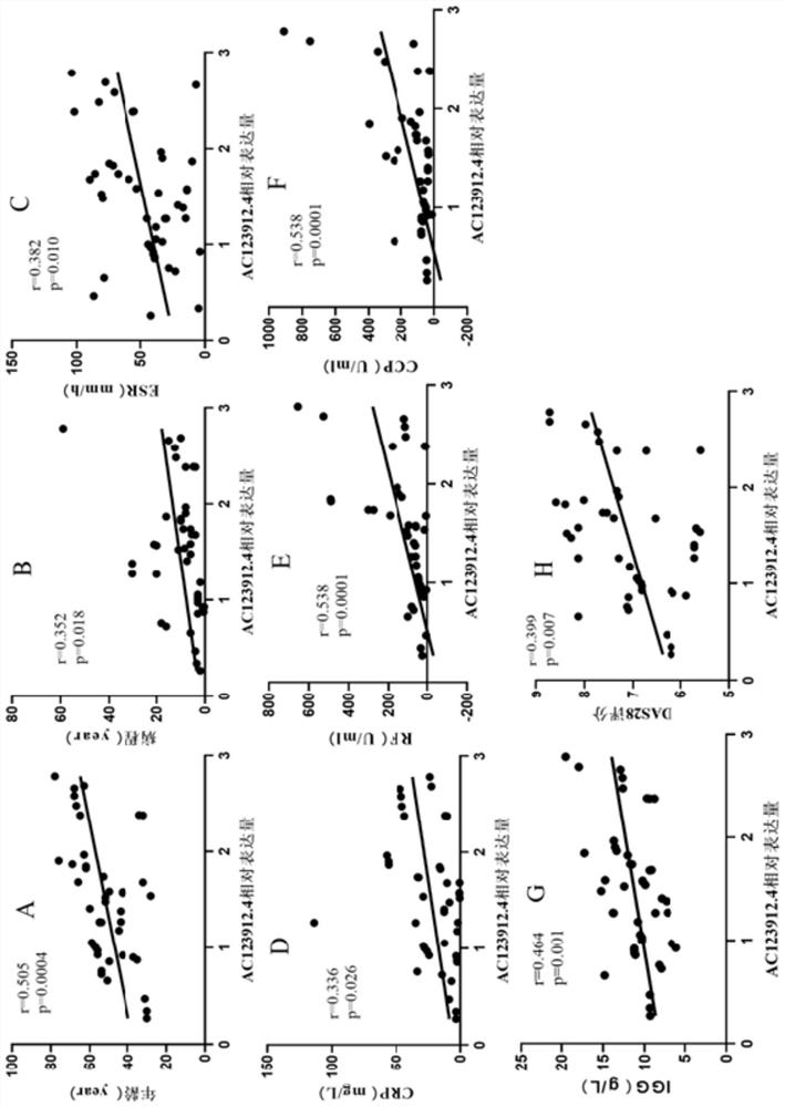 Novel long-chain non-coding RNA of RA marker and application of novel long-chain non-coding RNA