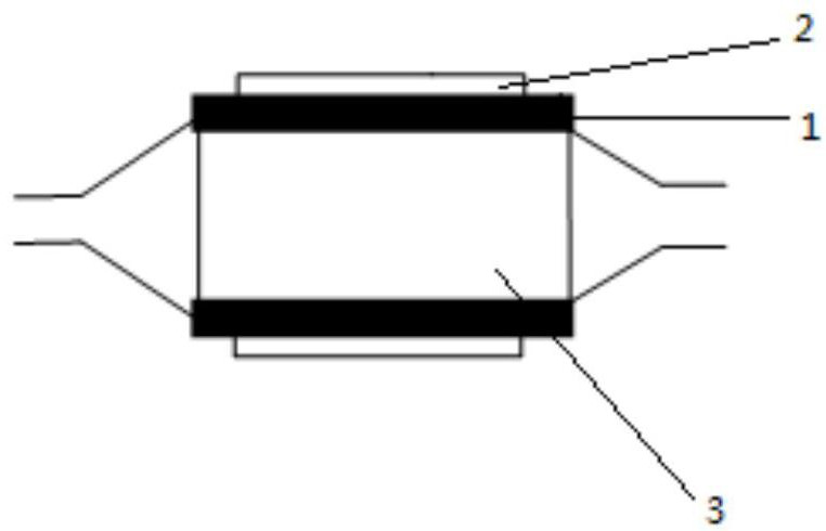 A kind of drug coating and preparation method thereof