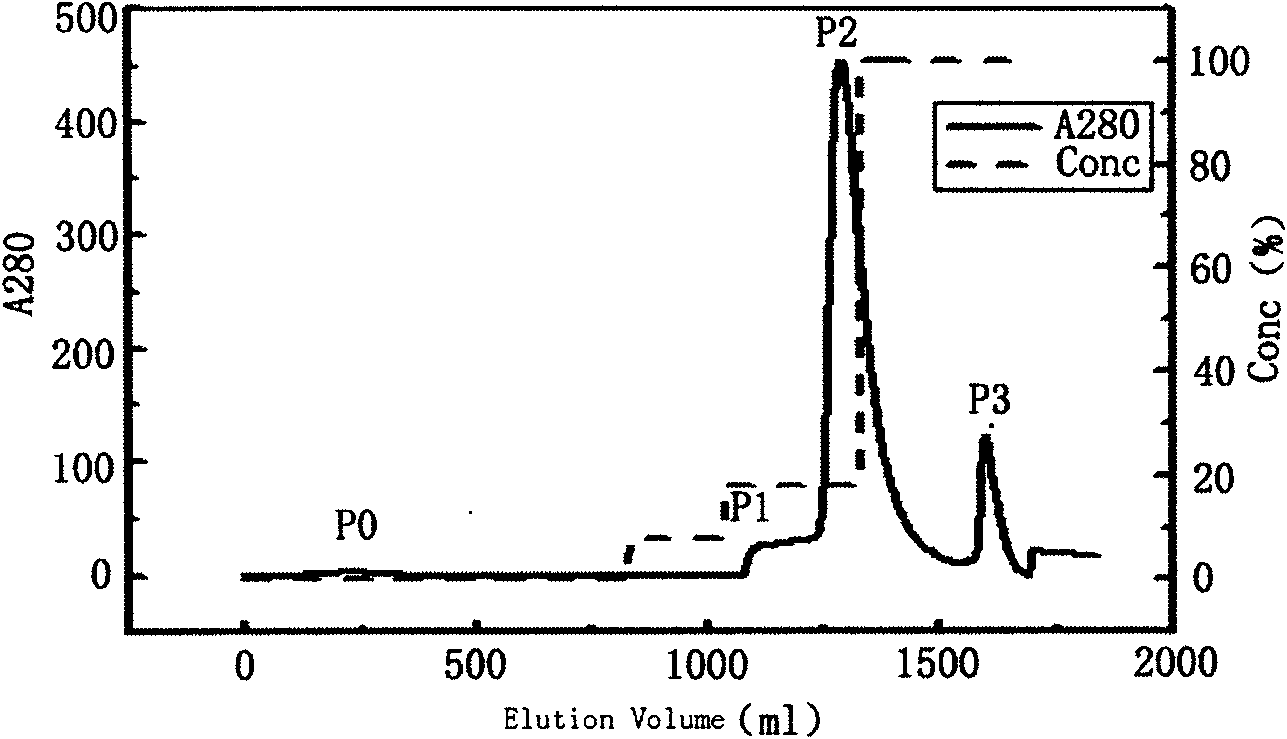 Nitrogen-terminal fixed-point coupling method for colony stimulating factor of column chromatography granulocyte and coupled product