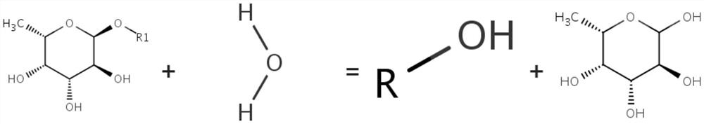 Preparation method of alpha-L-fucosidase