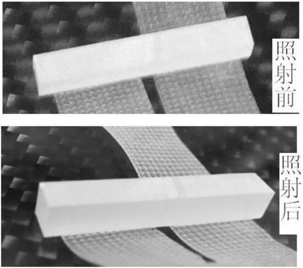 In-beam high-energy radiotherapy device with PET developing function