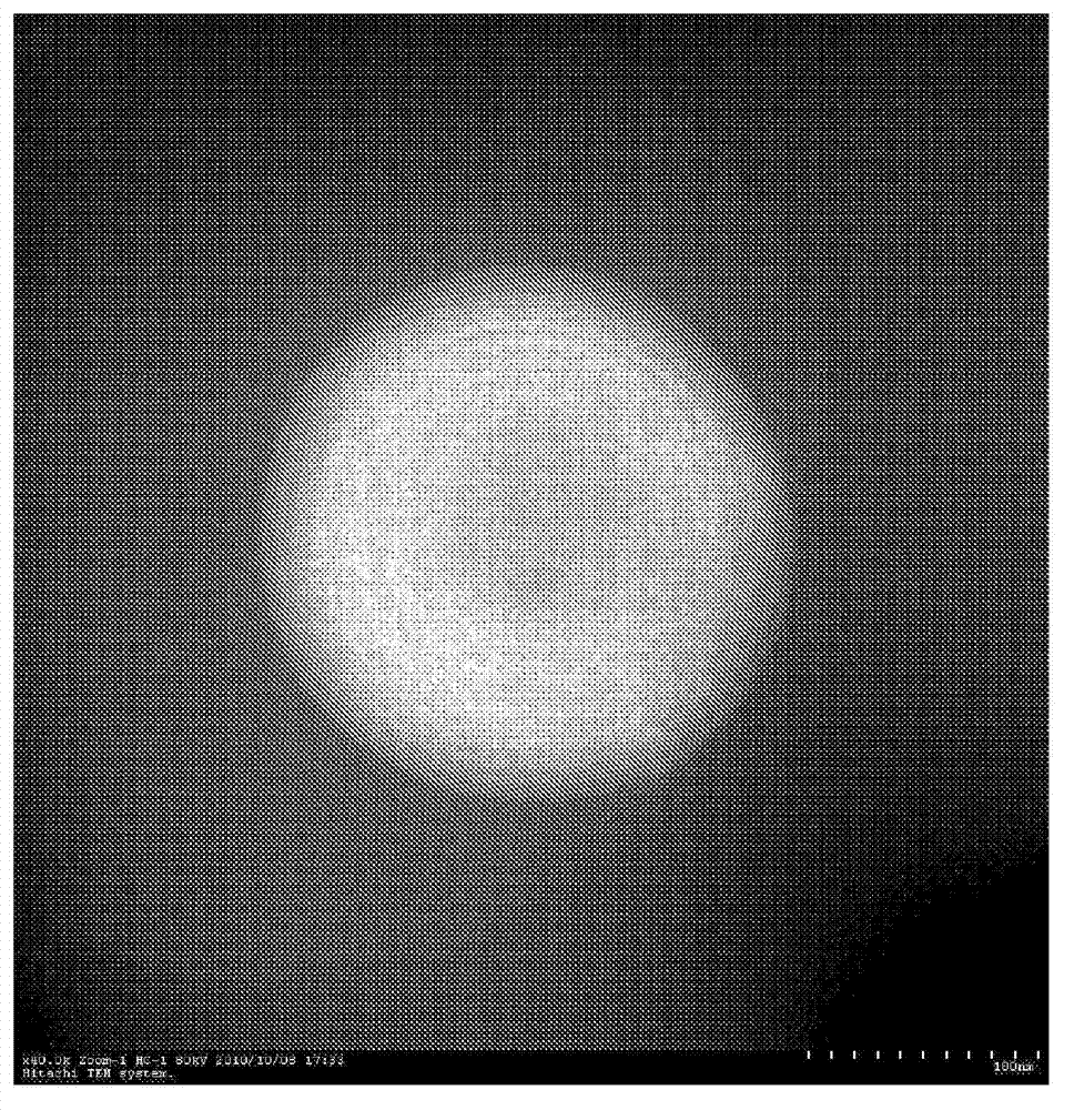 Vesicle composition, and external skin preparation and cosmetic, each containing same