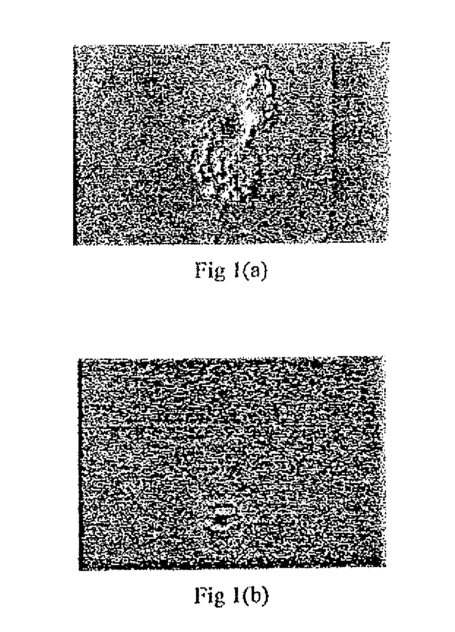 Hydrocarbon fuel compositions