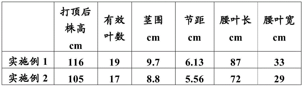 A method for improving tobacco planting soil and a tobacco planting method