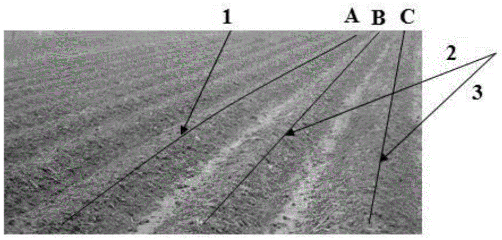 A method for improving tobacco planting soil and a tobacco planting method