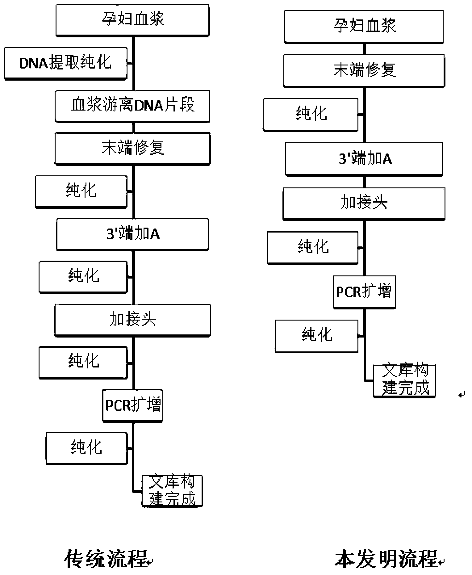 DNA library construction method for prenatal diagnosis