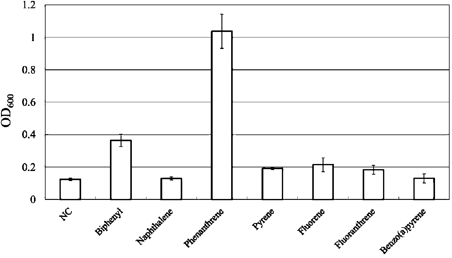 Sphingobacterium strain for degrading polycyclic aromatic hydrocarbon organic pollutant and application thereof