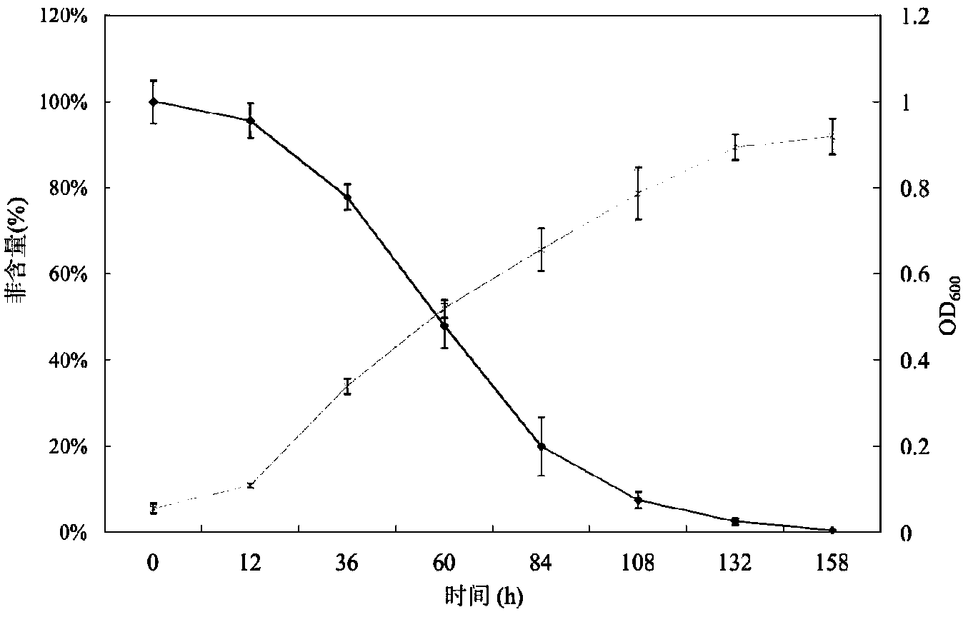 Sphingobacterium strain for degrading polycyclic aromatic hydrocarbon organic pollutant and application thereof