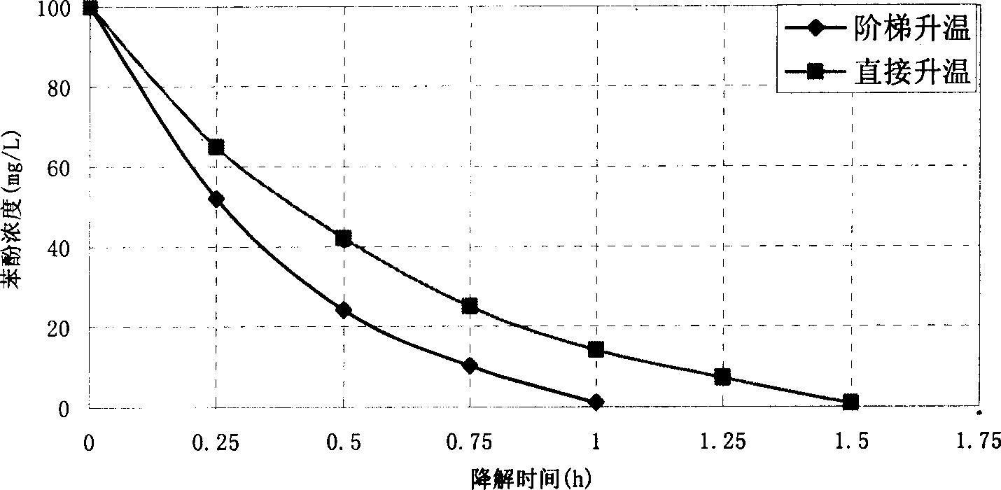 Preparation of nano-structured DSA electrolytic electrode