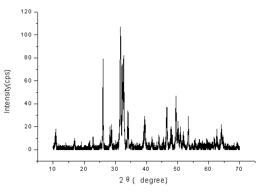 Method for preparing hydroxyapatite nanocrystals or microcrystals by using plant as template