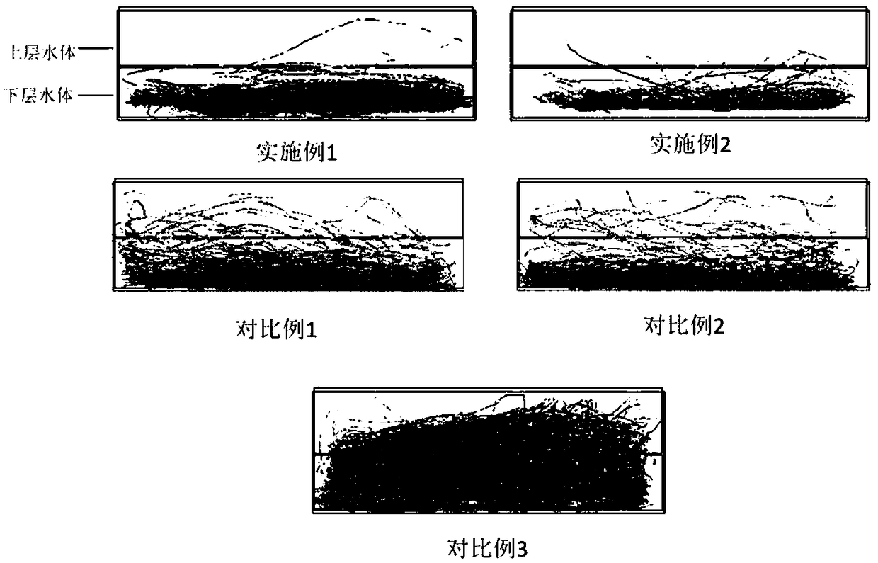 Method for establishing zebrafish senile dementia model and application