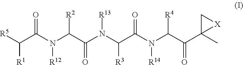 Compounds for enzyme inhibition