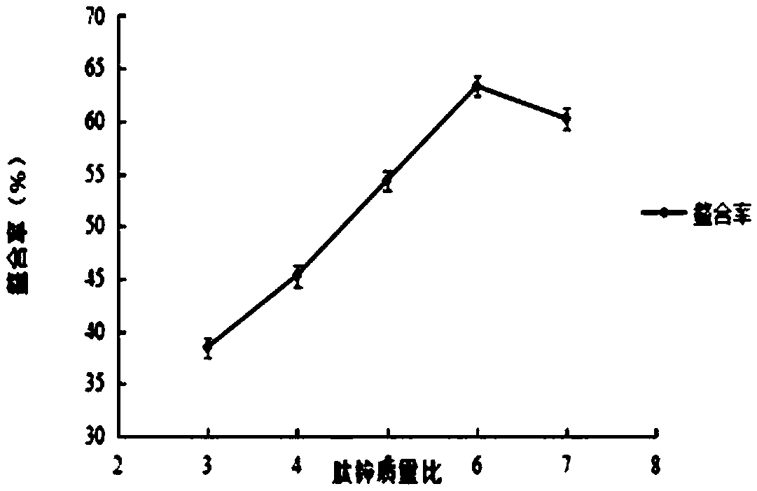 Preparation method of mung bean protein peptide-zinc chelate