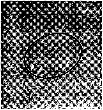 Thermosensitive chromotropic material and manufacturing method and application thereof