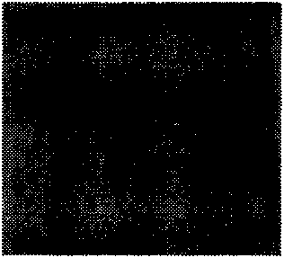 Thermosensitive chromotropic material and manufacturing method and application thereof