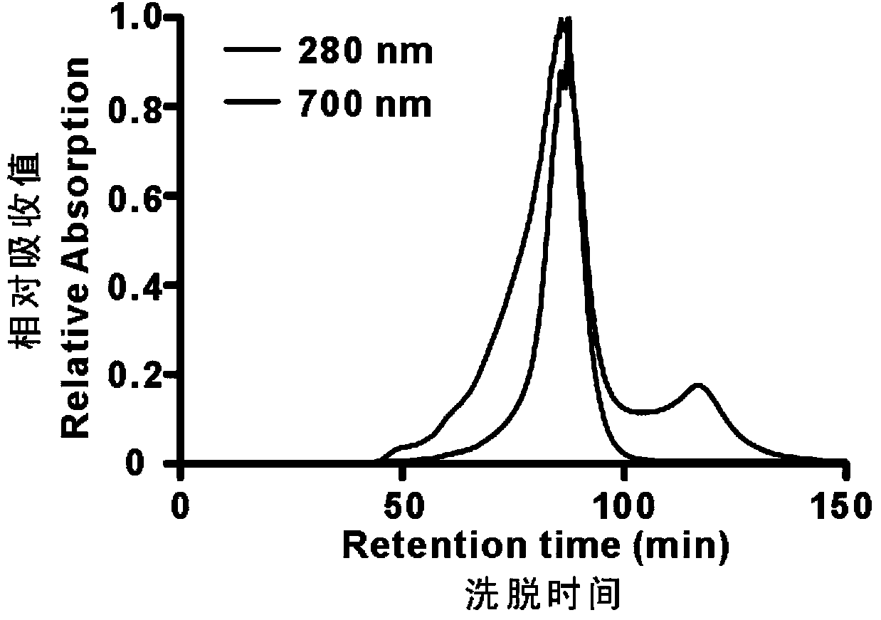 Polypeptide and nanometer particles thereof for promoting dendritic cells to take in antigen peptides and applications thereof