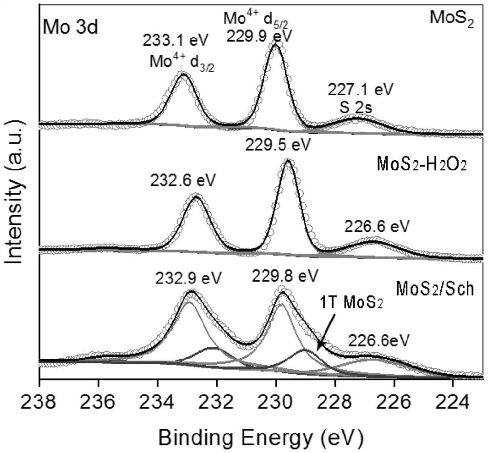 Molybdenum disulfide modified schwertmannite and preparation method and application thereof