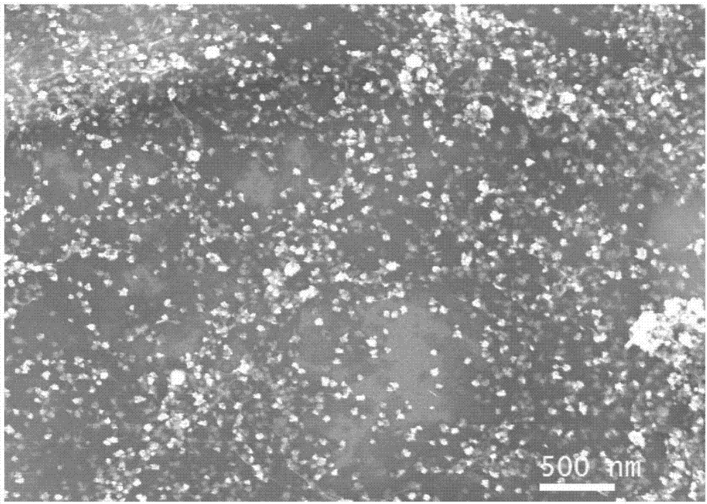 Preparation method of gold-reduced graphene oxide-foamed nickel composite