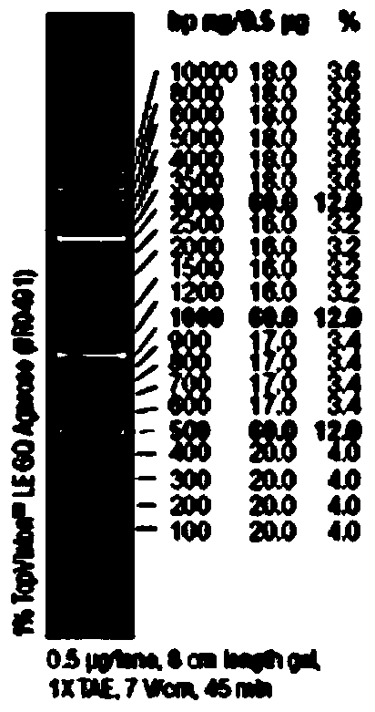 Preparation method of novel anti-human papilloma viral protein