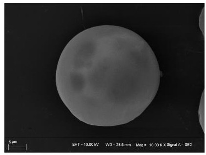 Hyaluronic acid-parecoxib PLGA microsphere as well as preparation method and application thereof