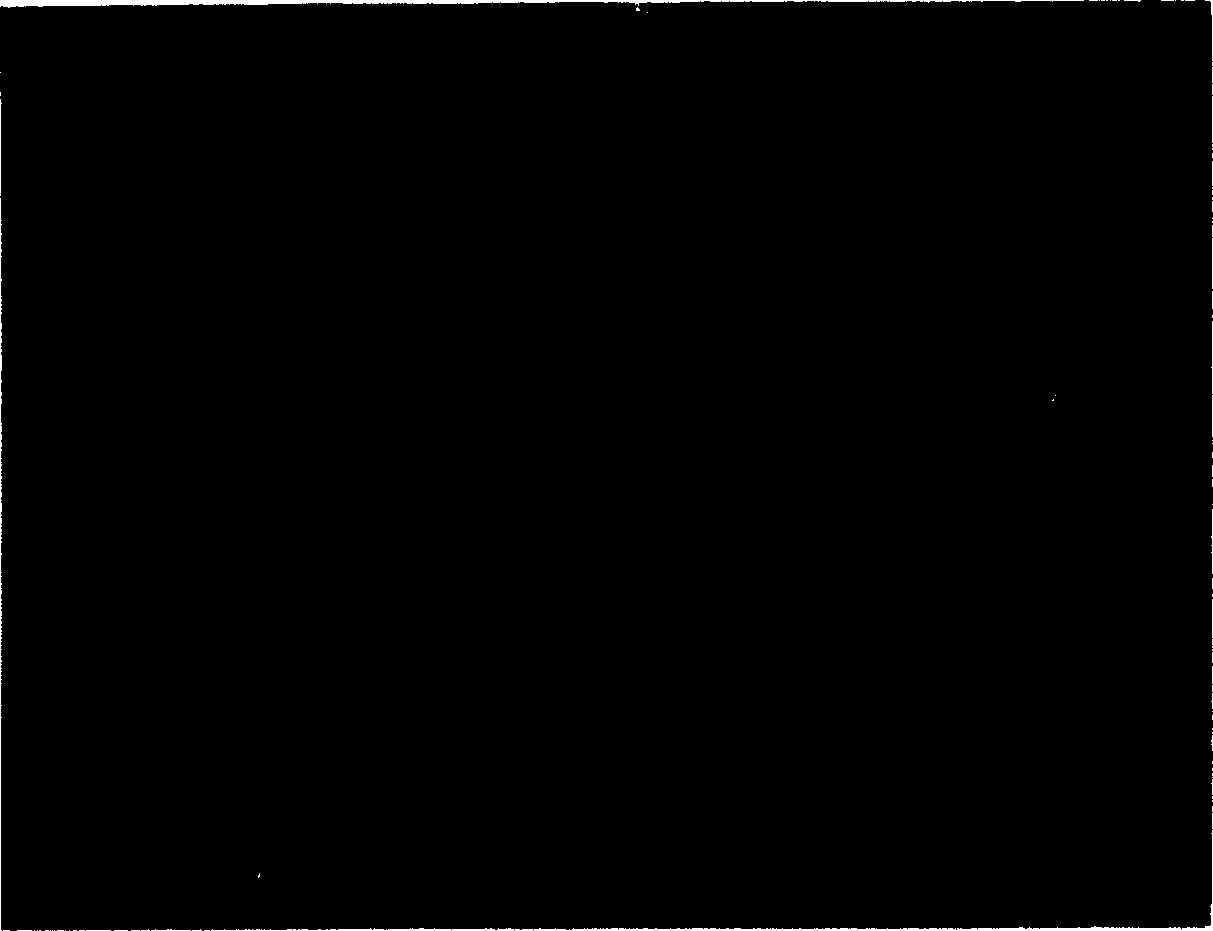 Cobalt oxide of lithium battery grade and its preparation method