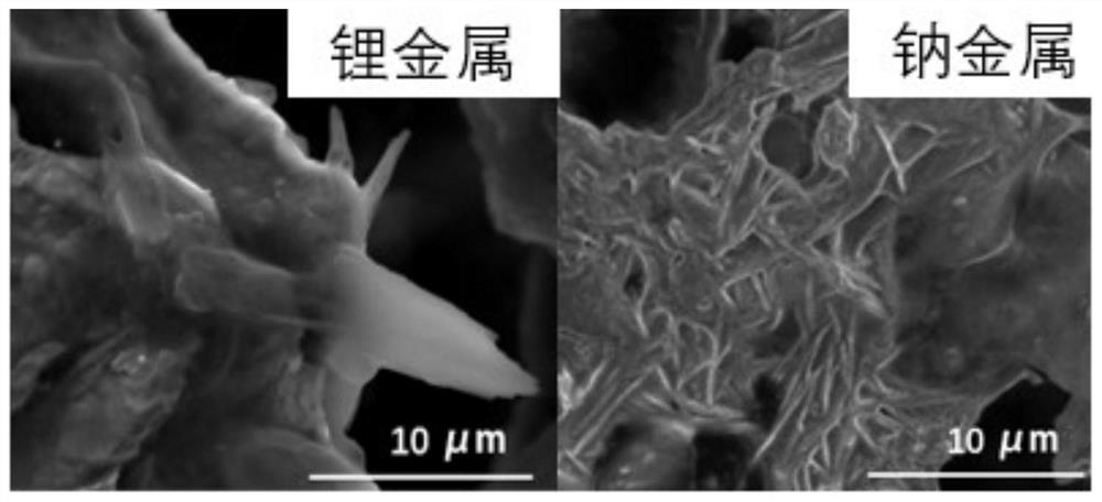 A metal/ion filter layer, its preparation method and its application in batteries