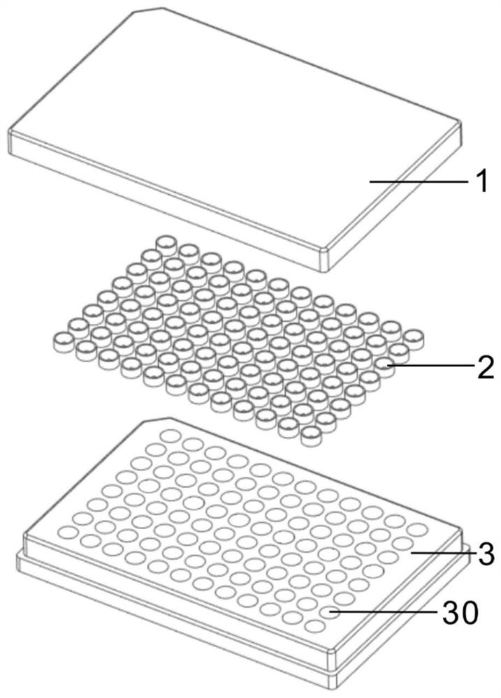 Hyperoxia ventilating pore plate device for organoid sphere culture