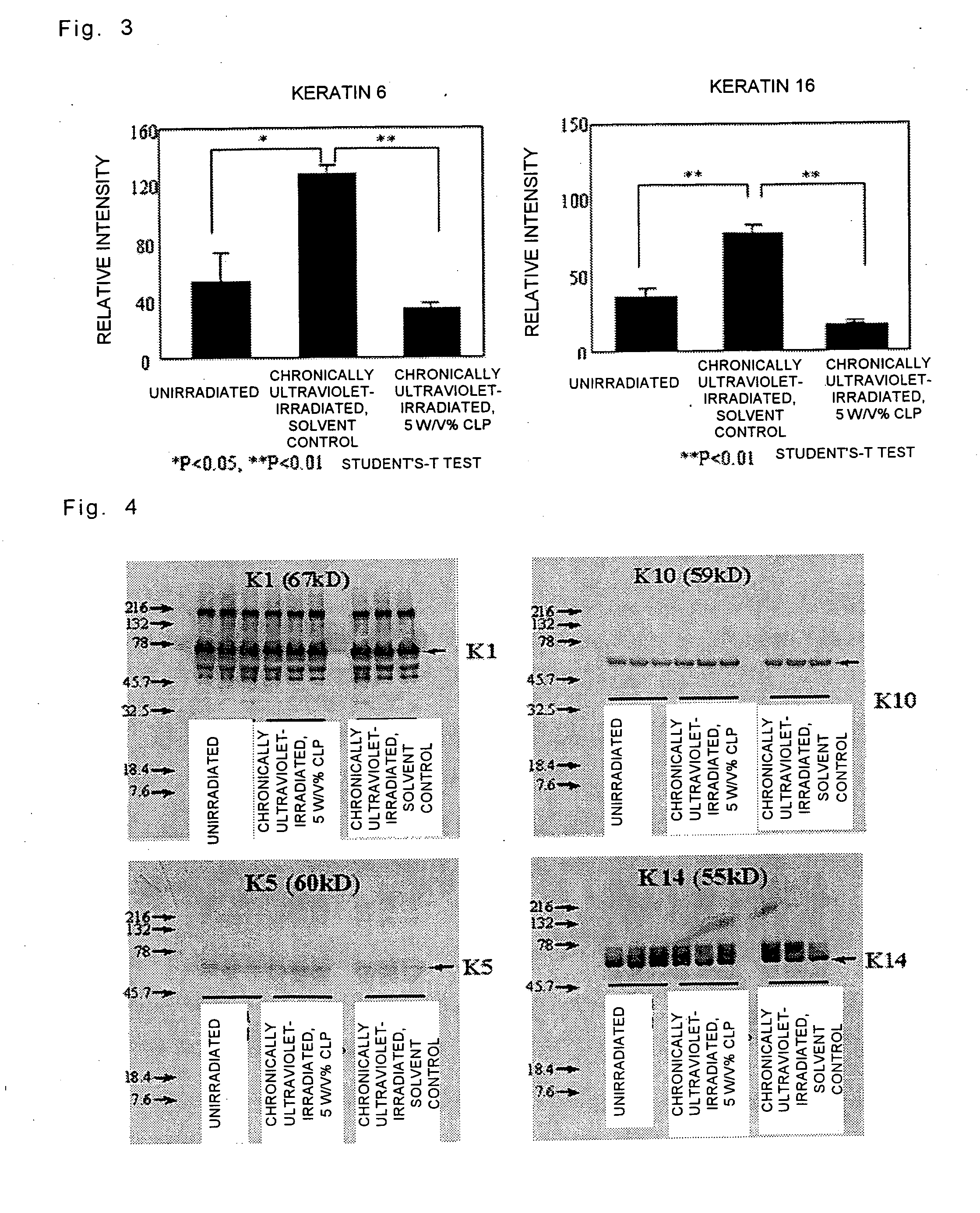 Method for screening an agent for preventing or ameliorating wrinkles