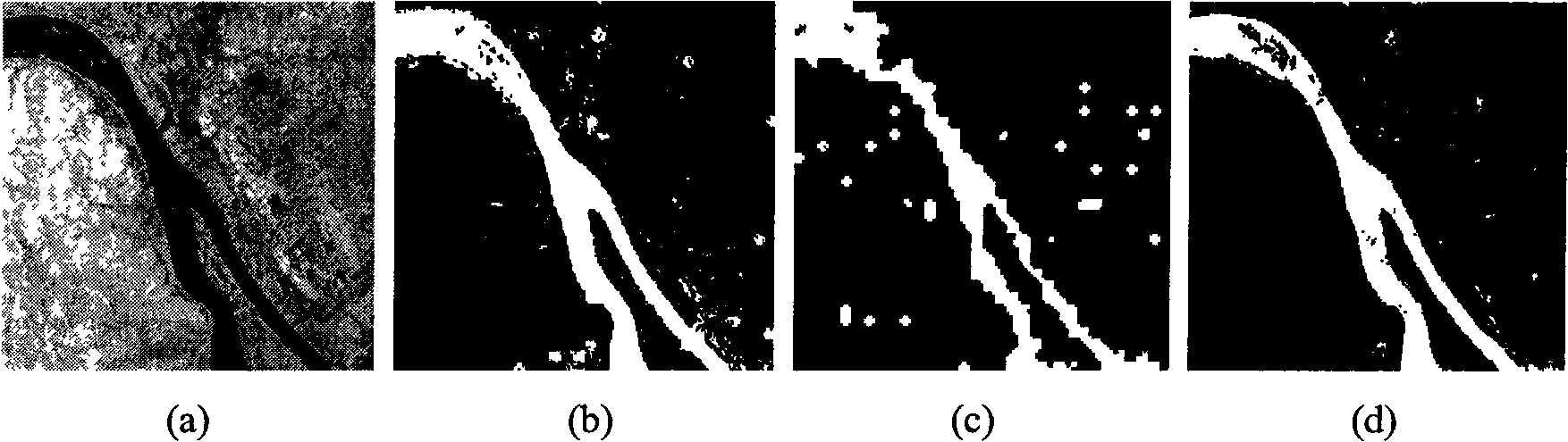 Synthetic aperture radar image segmentation method based on shear wave hidden Markov model