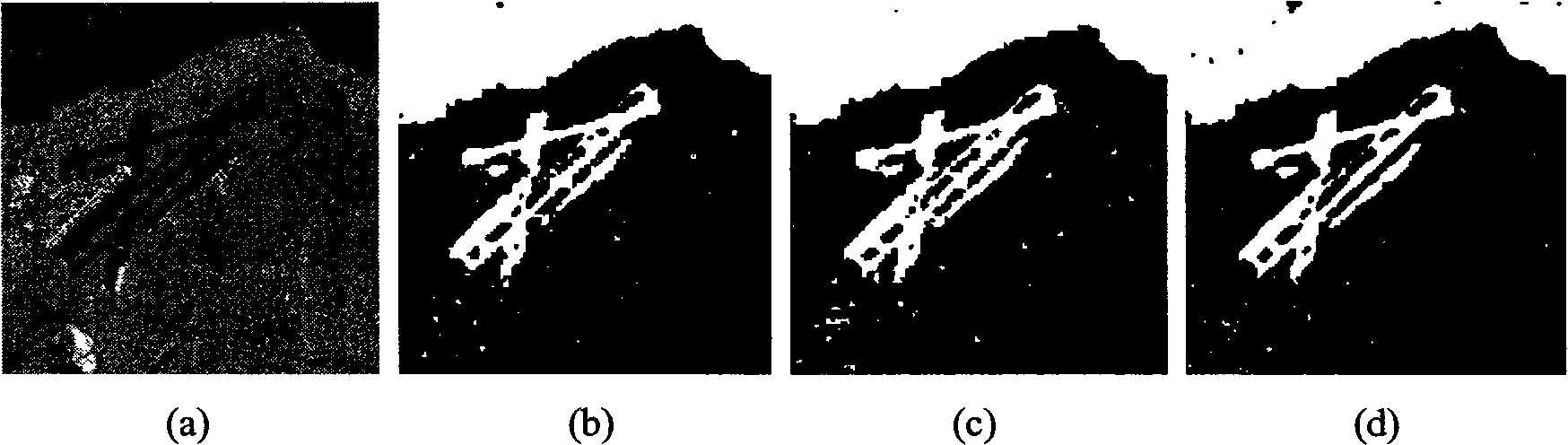 Synthetic aperture radar image segmentation method based on shear wave hidden Markov model