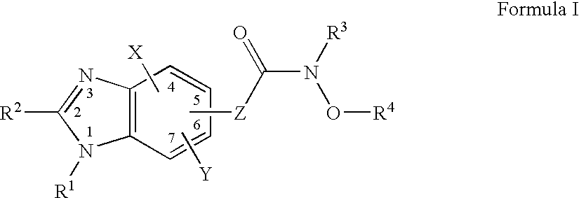 Benzimidazole derivates: preparation and pharmaceutical applications