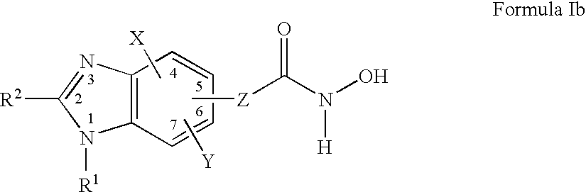 Benzimidazole derivates: preparation and pharmaceutical applications