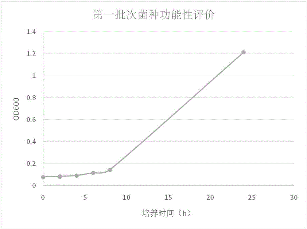 Lactobacillus reuteri and applications