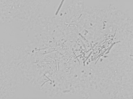 Insulin aspart crystallization process