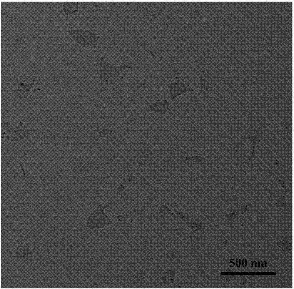 Compound nano graphene oxide drug carrier and preparation method thereof