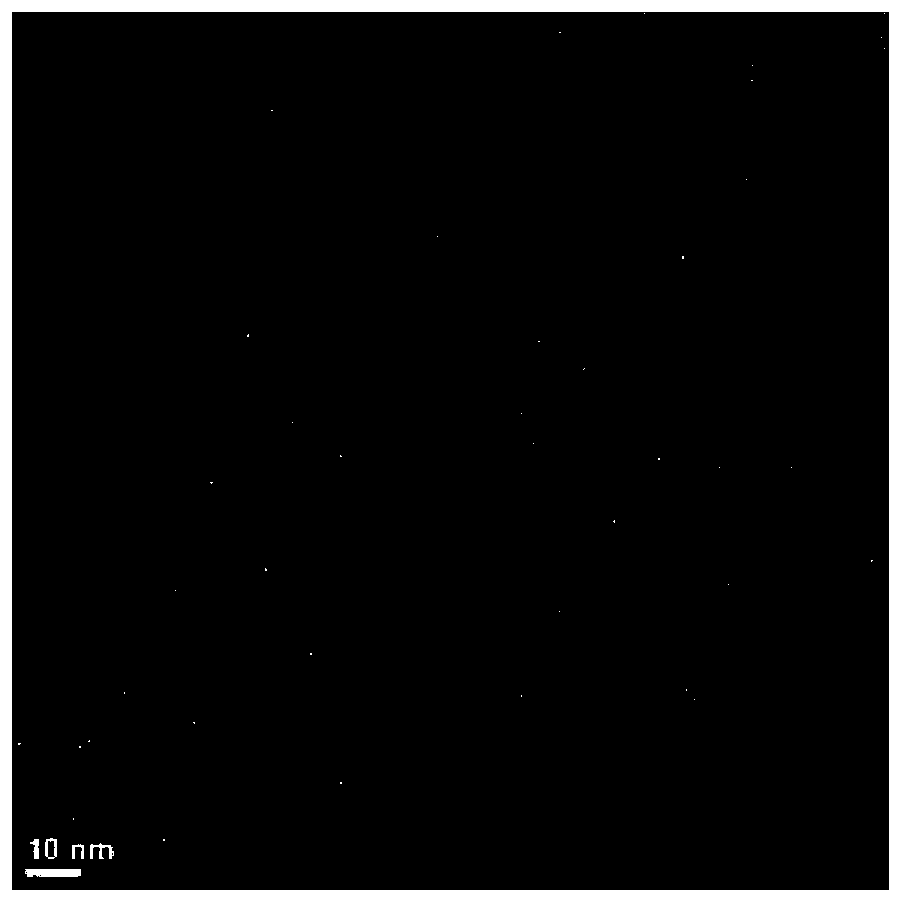 Oral nano iron supplement and preparation method thereof