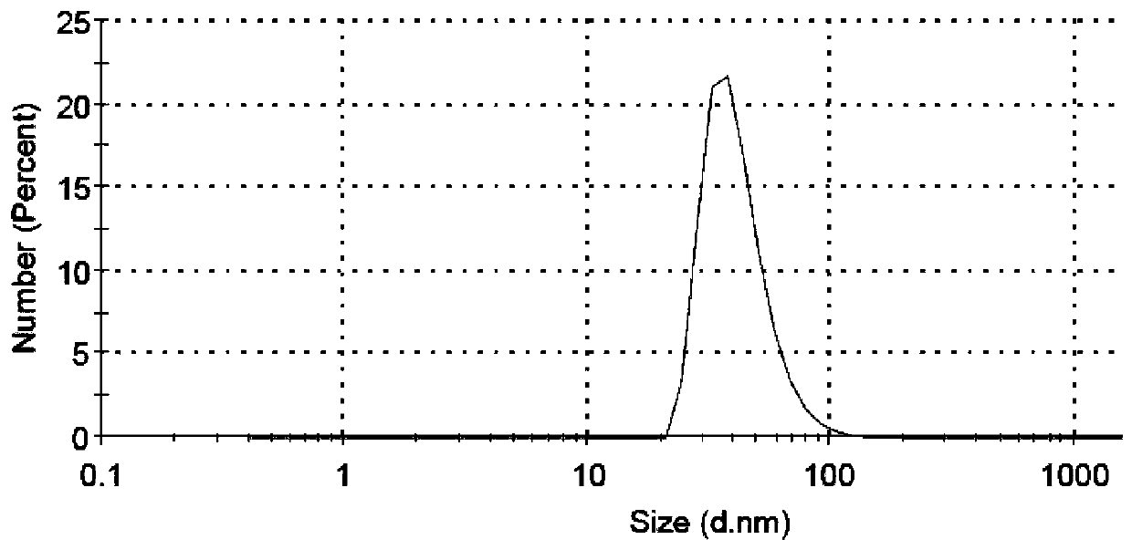 Oral nano iron supplement and preparation method thereof