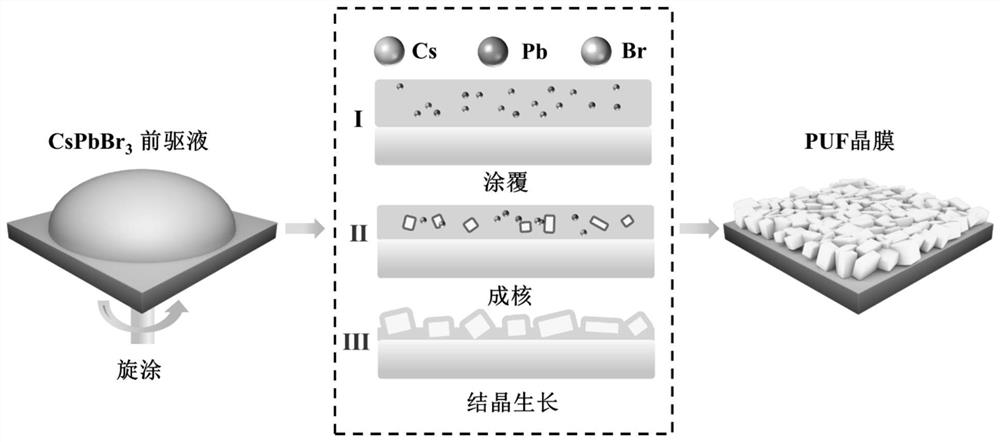 Preparation method of perovskite fluorescent anti-counterfeit structure and perovskite fluorescent anti-counterfeit label