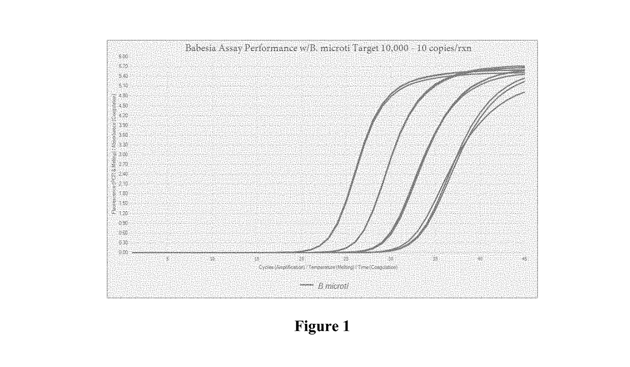 Compositions and methods for detection of babesia