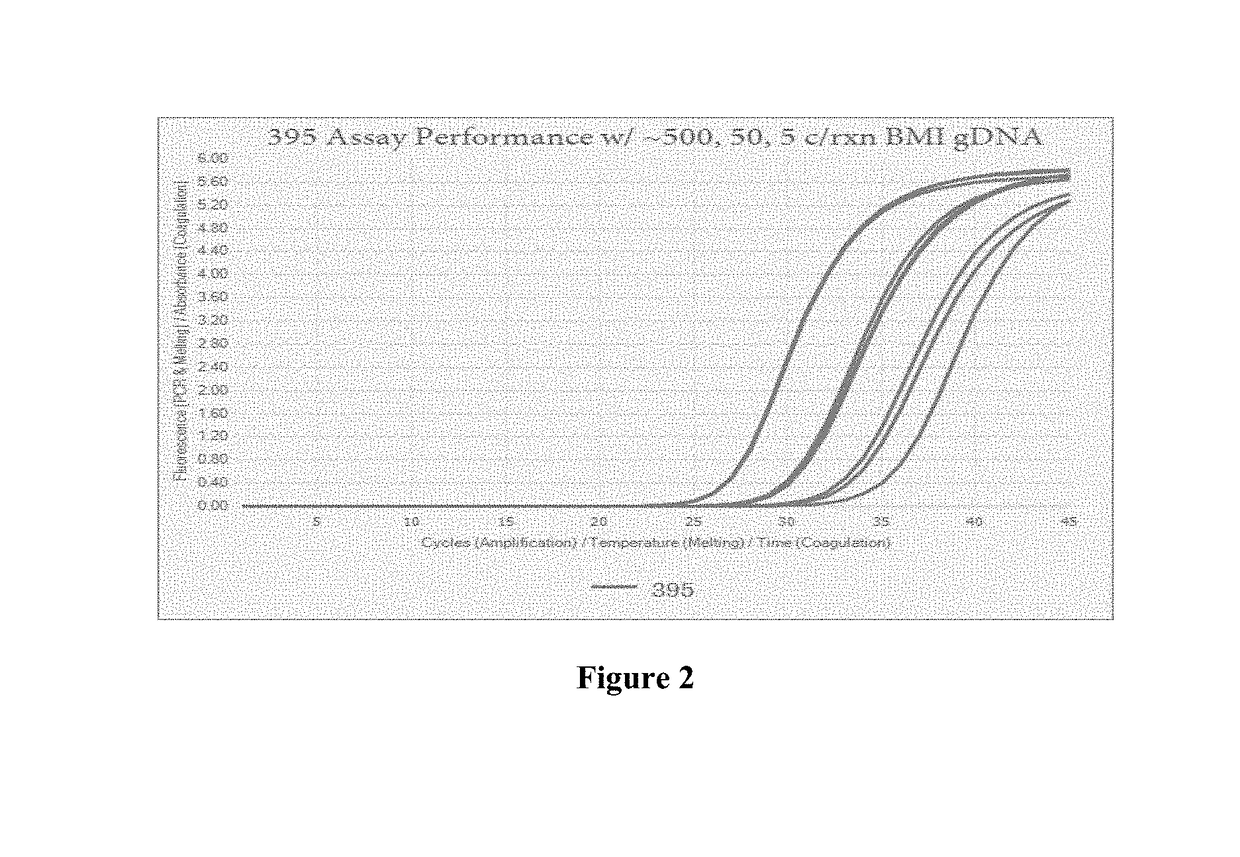 Compositions and methods for detection of babesia