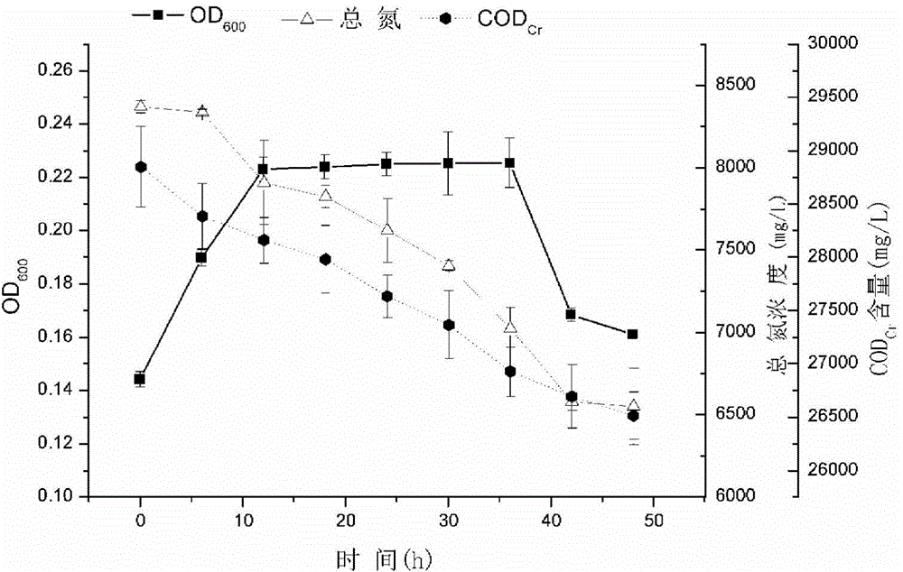 Bacillius firmus GY-49, screening method and applications thereof