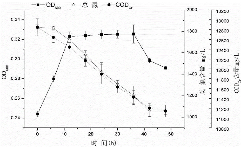 Bacillius firmus GY-49, screening method and applications thereof