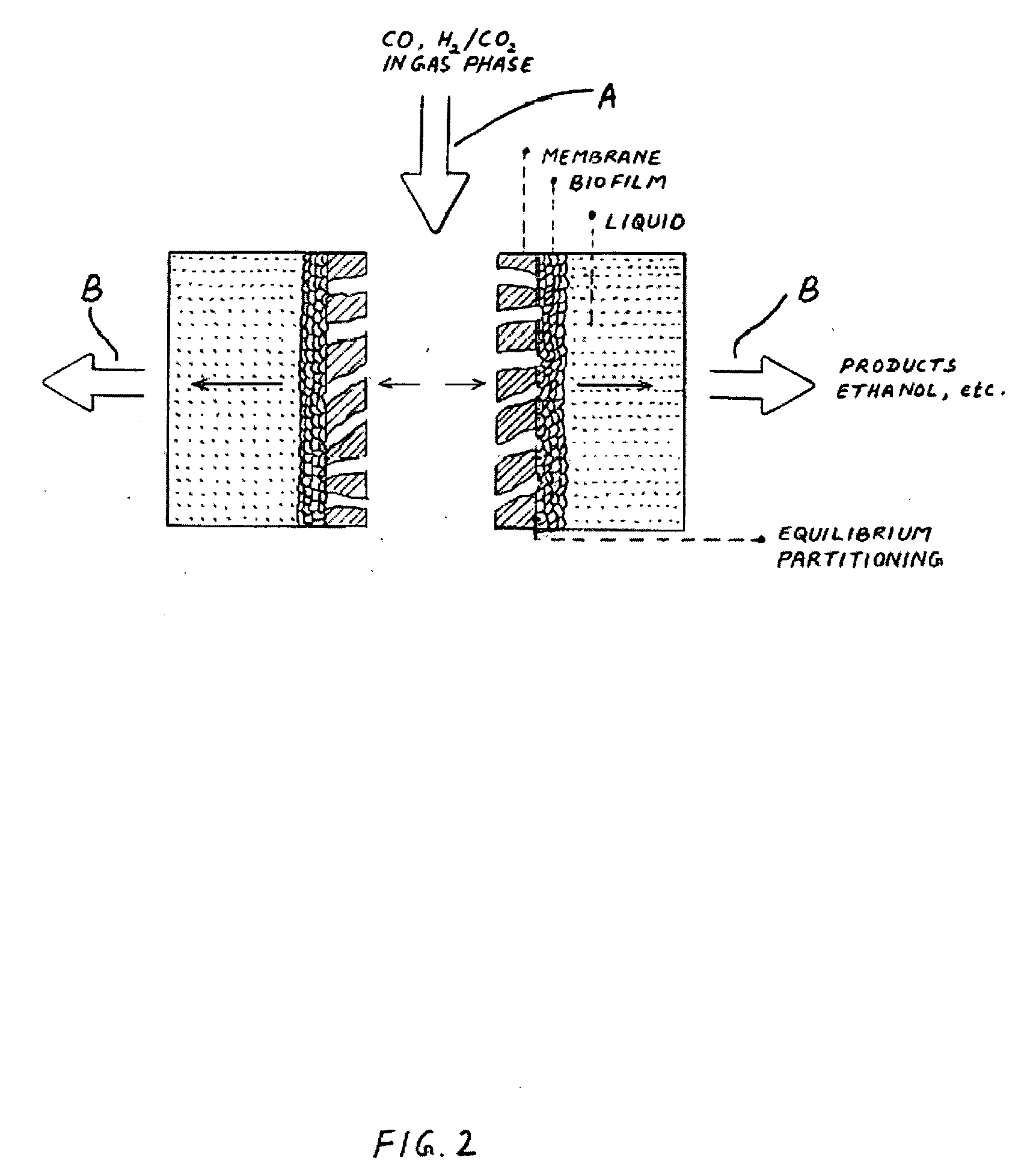 Submerged membrane supported bioreactor for conversion of syngas components to liquid products