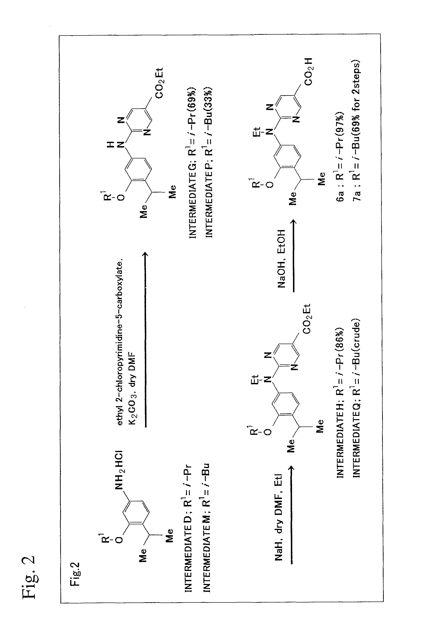 Rexinoid compound having alkoxy group