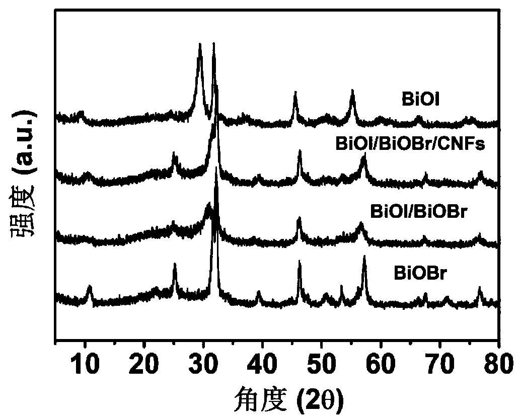 Preparation of nanometer carbon fiber supported halogen bismuth oxide photocatalyst, and applications of nanometer carbon fiber supported halogen bismuth oxide photocatalyst in solar energy nitrogen fixation