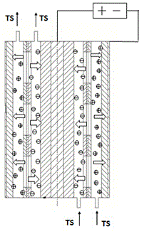 Device and method for separating and recycling negative and positive ions in weak solution continuously, synchronously and selectively