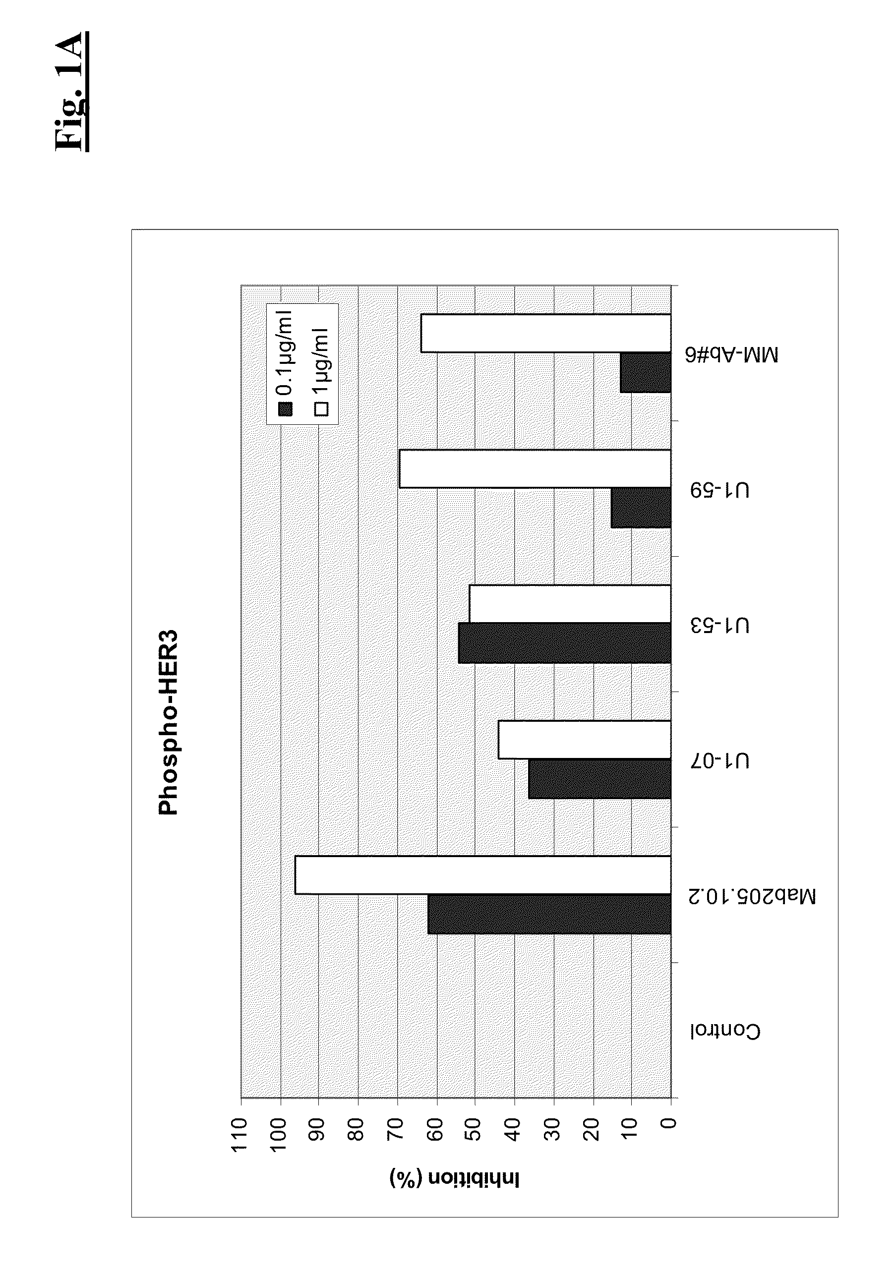 Combination therapy of anti-HER3 antibodies