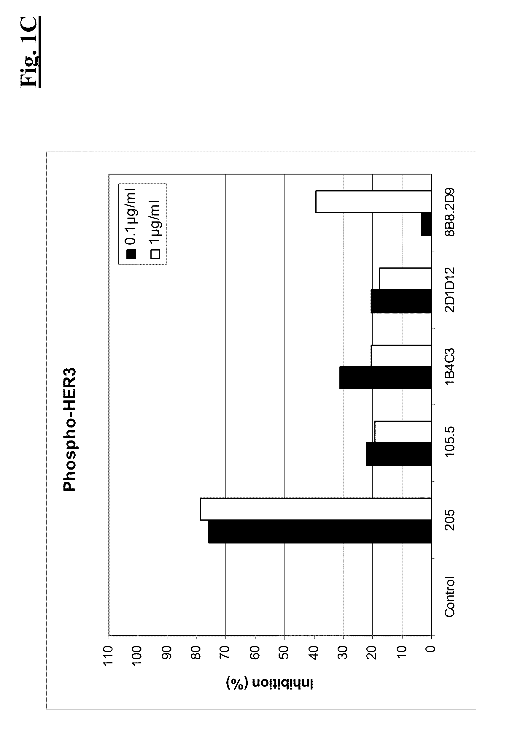 Combination therapy of anti-HER3 antibodies